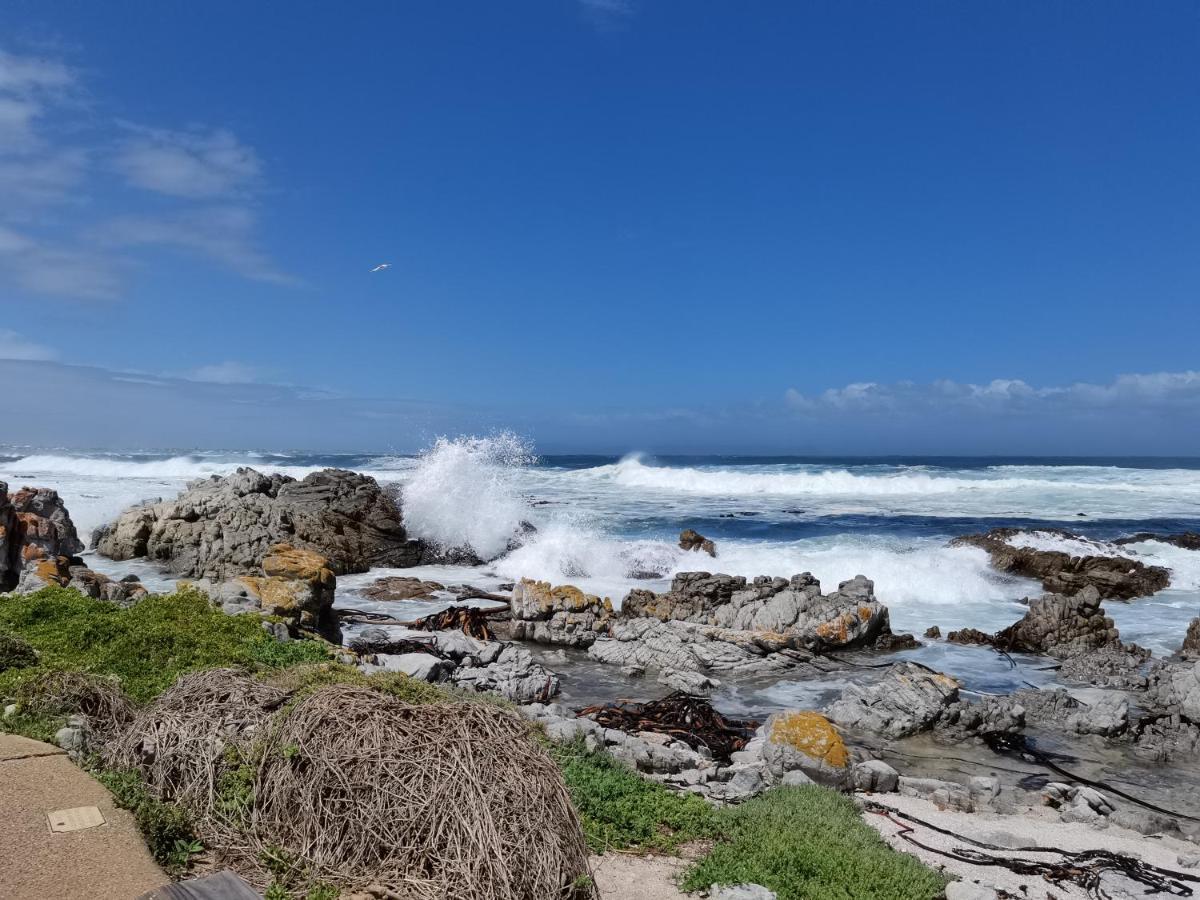 Vermont Lofts Hermanus Dış mekan fotoğraf
