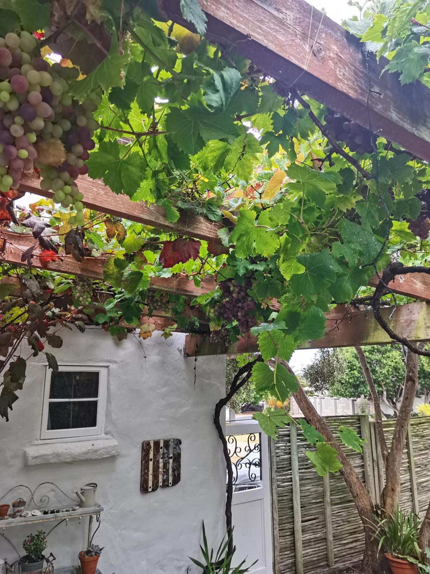 Vermont Lofts Hermanus Dış mekan fotoğraf